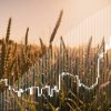 The Everything Marketplaces Podcast